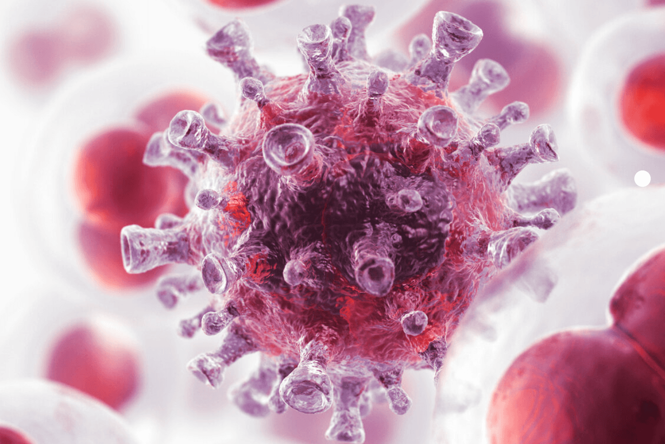 <p>Cline flyttar till Nasdaq First North</p>