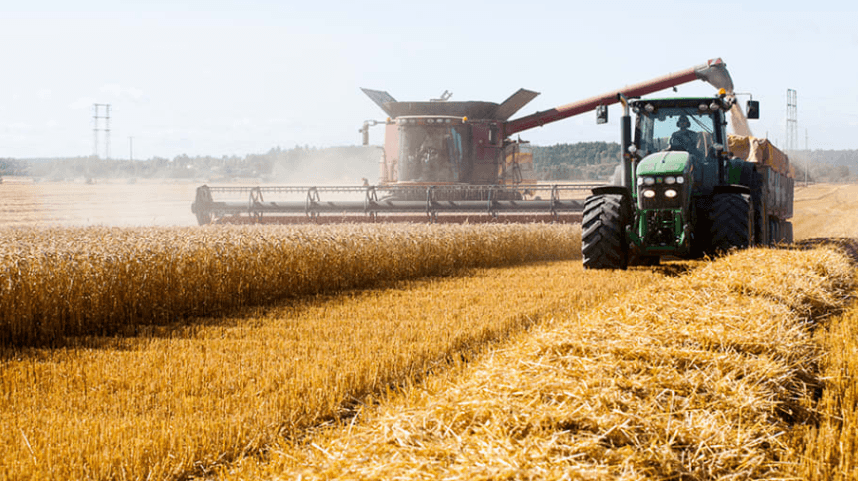 <p>Tröskning av höstvete på SLU:s ägor. Sverige är i princip självförsörjande på spannmål, men det är världsmarknaden som bestämmer priserna. Foto: Jenny Svennås-Gillner, SLU</p>