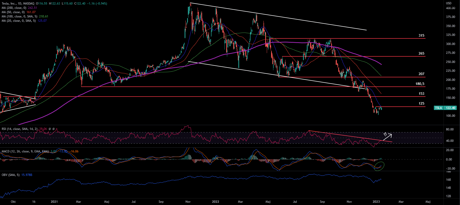 Tesla Inc, Daily
