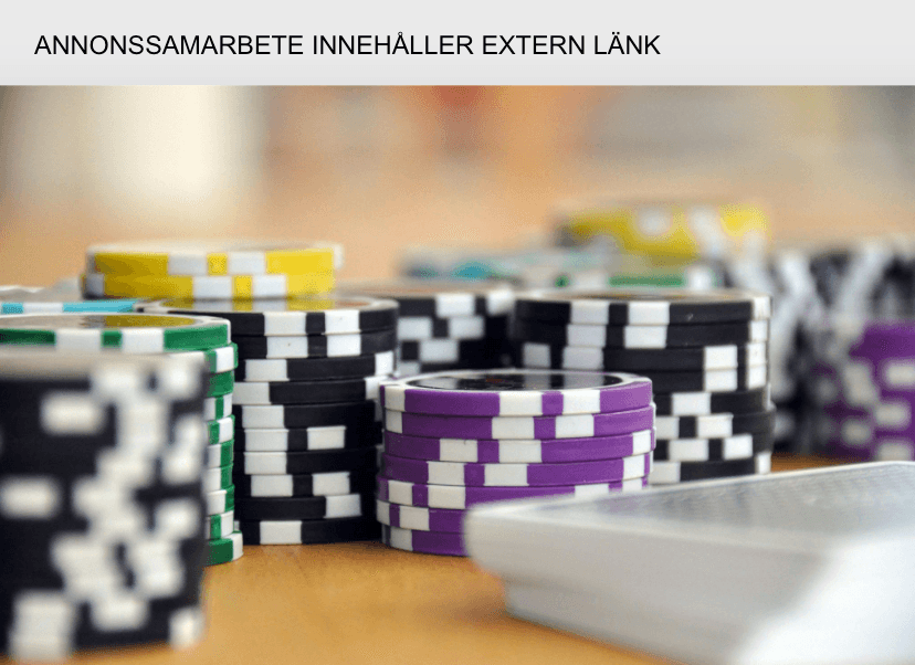 bästa svenska pokerspelarna