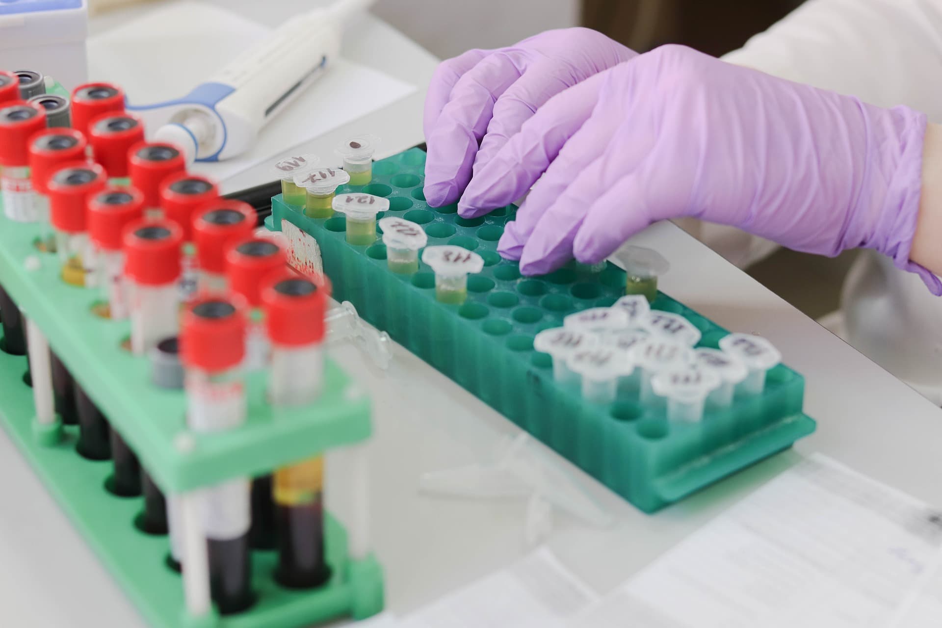 bioarctic alzheimers