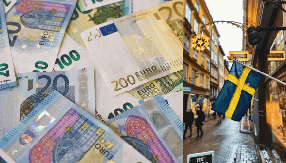 införa Euro