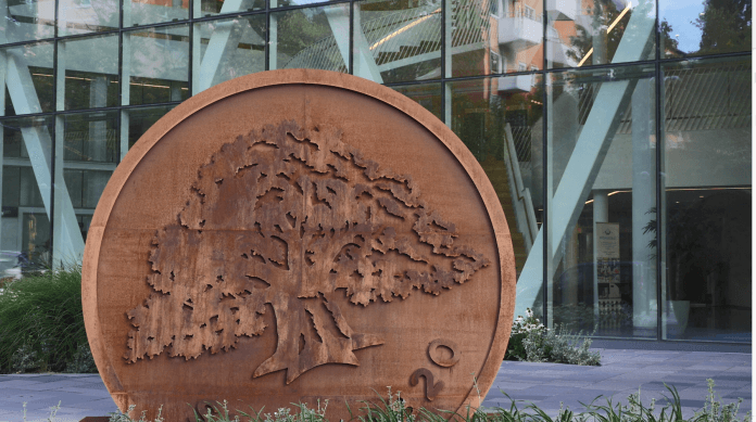 <p>Varma vindar på ingång enligt Swedbanks senaste konjunkturrapport. Foto: Swedbank pressfoto</p>