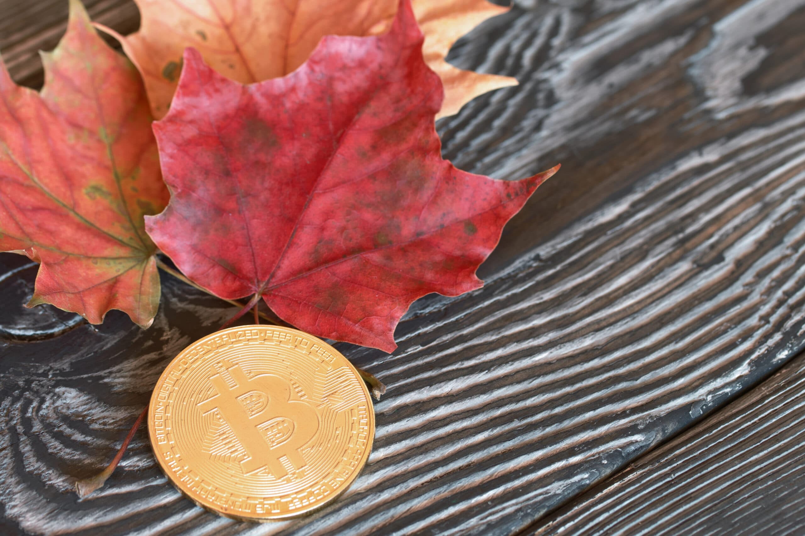 <p>Bitcoin faller men analytiker ser styrka i kryptovalutan. Foto: DepositPhotos</p>