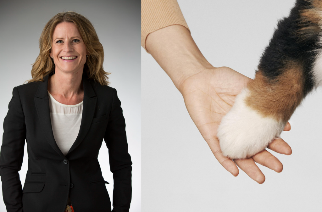 ManyPets teamar ihop sig med Buddy – vill digitalisera husdjursindustrin