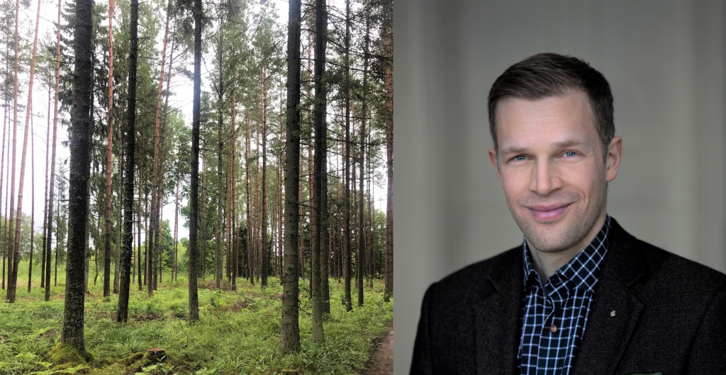 Treårsjubileum för Skogsfond Baltikum på börsen