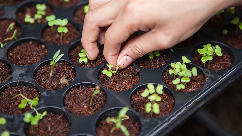 Landshypotek höjer sparräntorna igen
