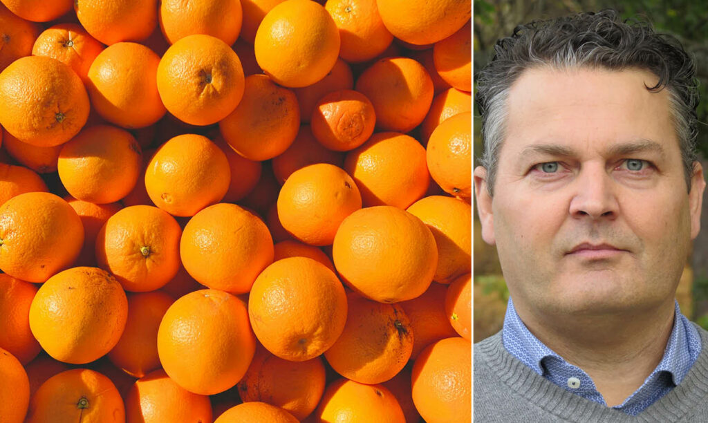 Global brist på apelsinråvara kan leda till tomma juicehyllor