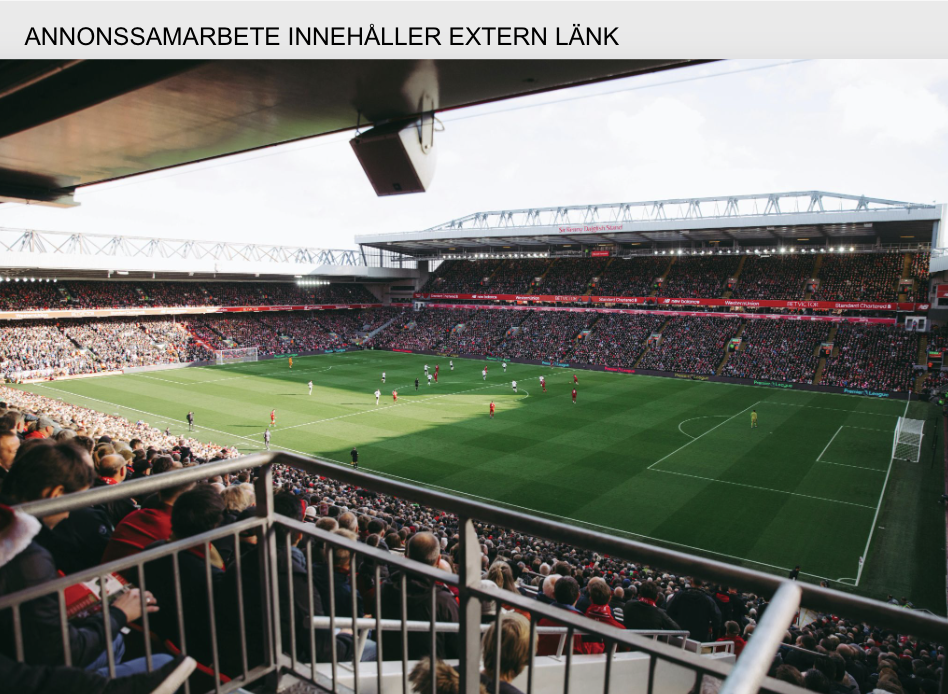 Inför EM 2024 – De vinner enligt oddsen