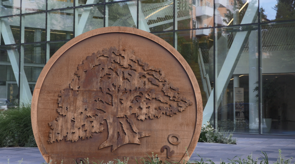 Problem för Swedbank igen – går inte att logga in