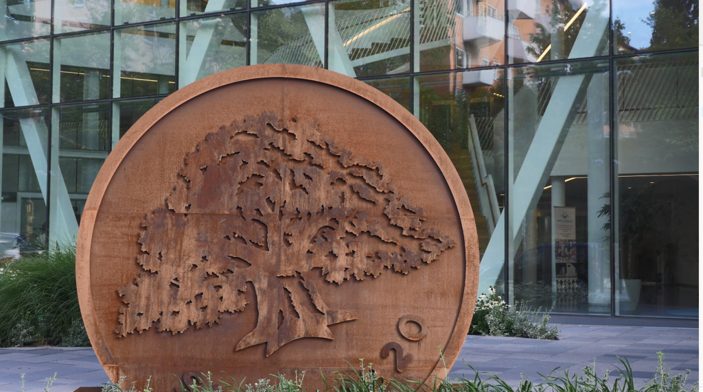 Tekniska problem hos Swedbank – Kunder kan inte logga in